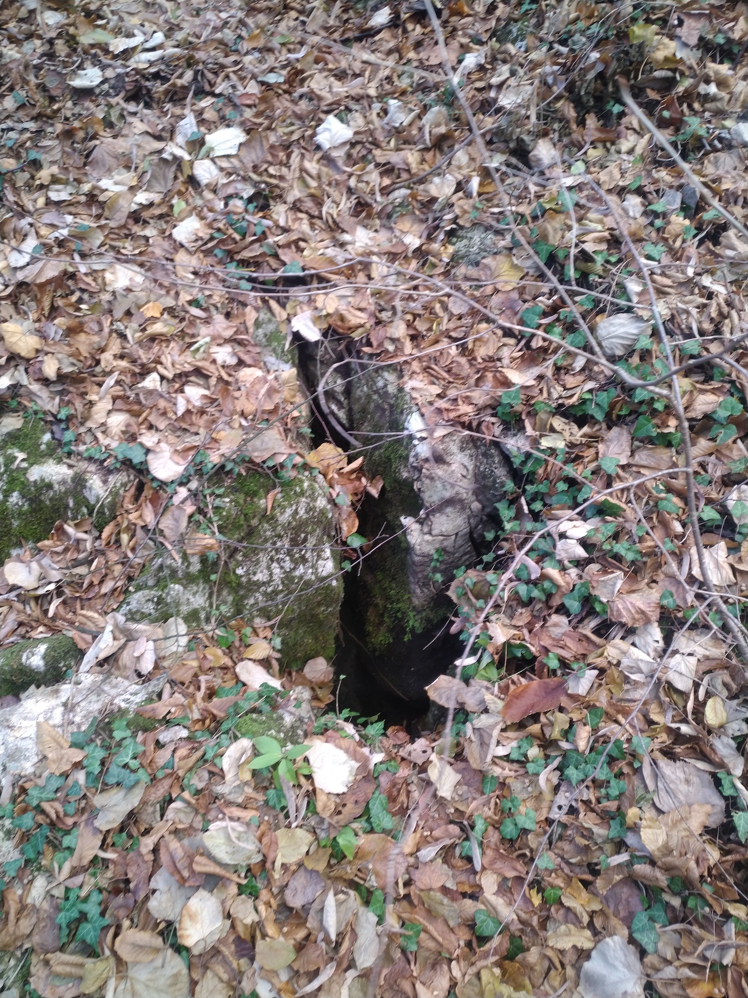 Avenul lui Didi - Image 2